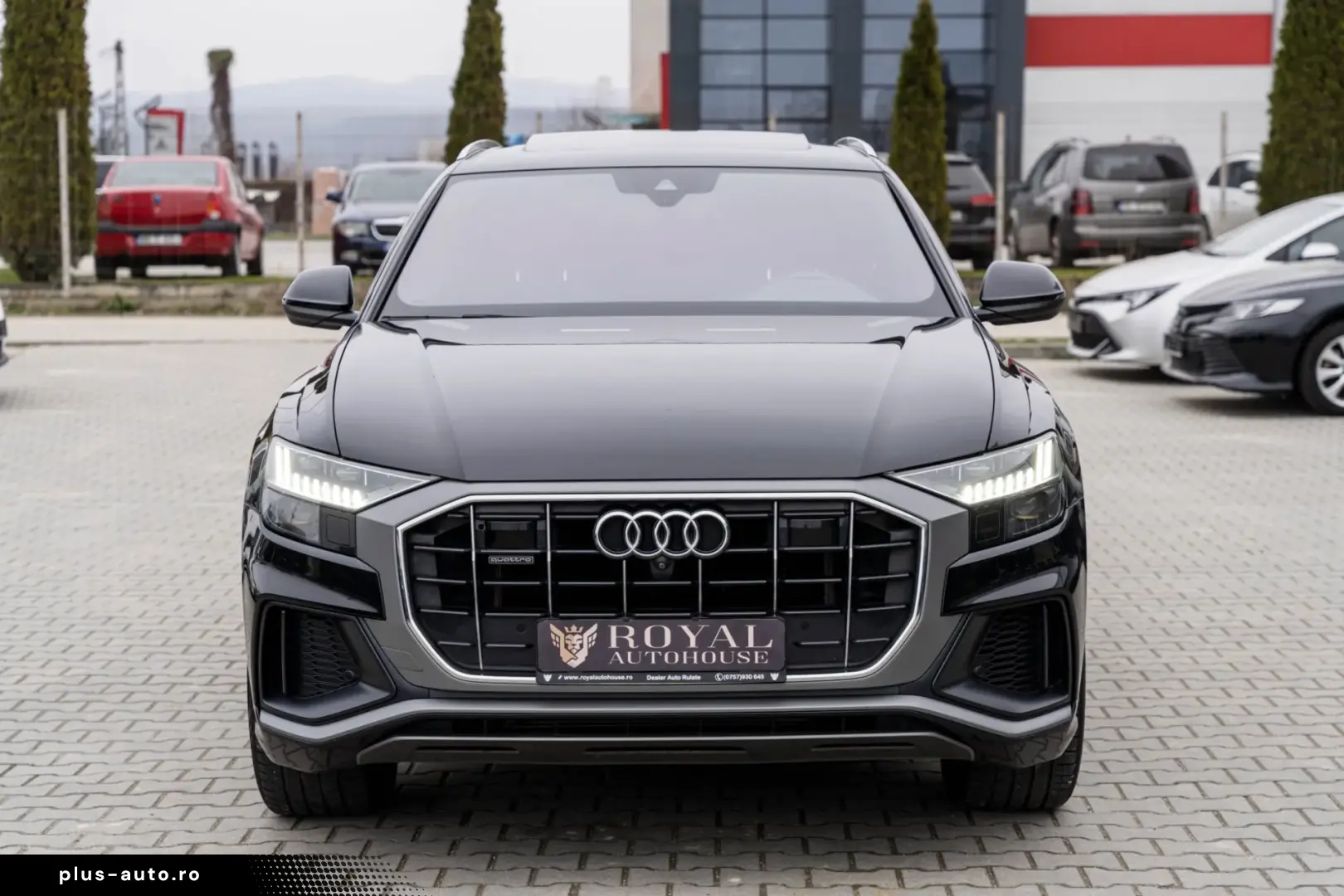 Audi Q8 SUV TDI quattro 210 kW tiptronic S line business