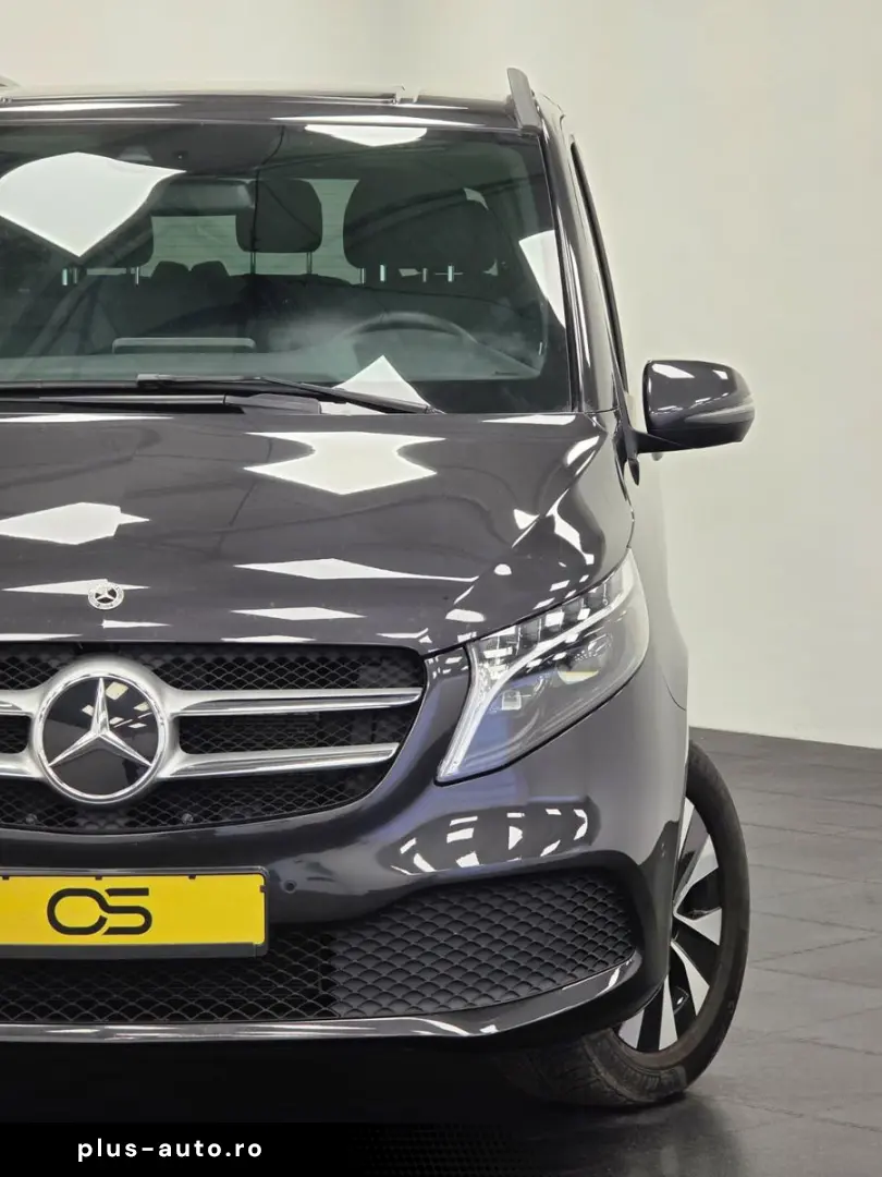 MERCEDES-BENZ V 250d 4MATIC lang Garnaite LED Kamera Leder