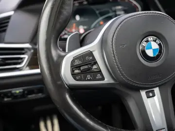 BMW X7 xDrive30d M Sport.AHK.Laser.22 Zoll