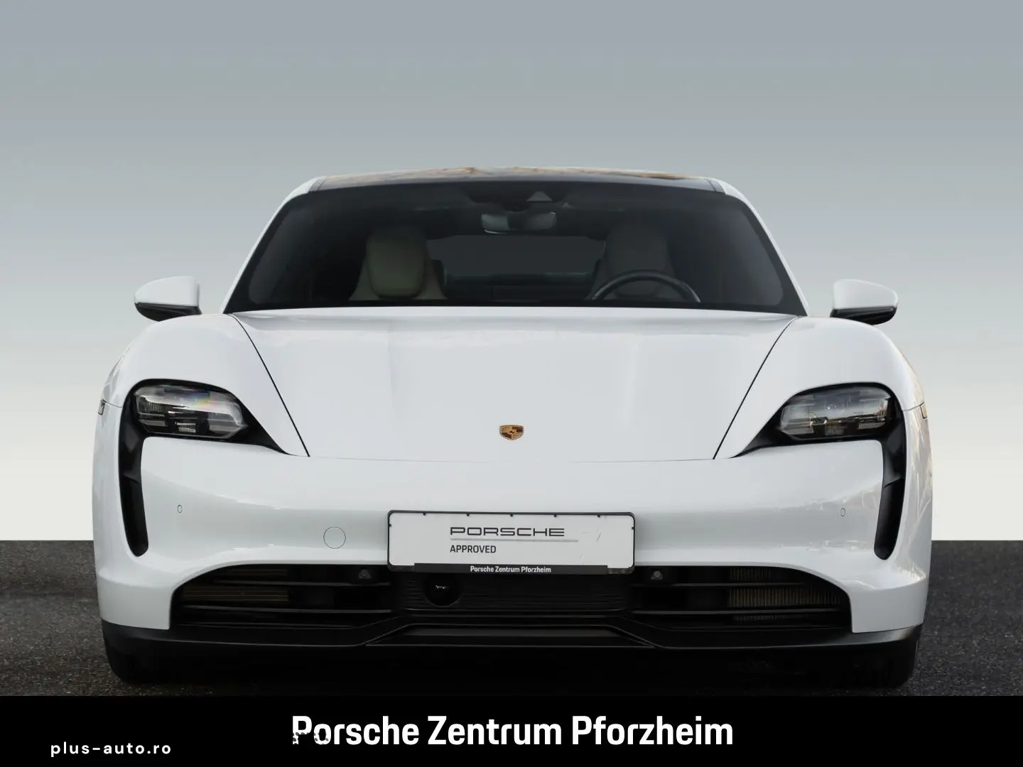 PORSCHE Taycan InnoDrive Luftfederung Rückfahrkamera