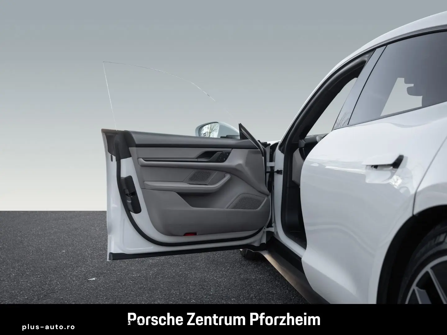 PORSCHE Taycan InnoDrive Luftfederung Rückfahrkamera