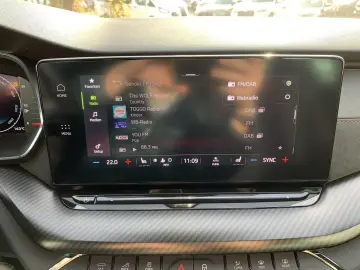 SKODA Octavia 2.0TSI DSG RS el.Klappe ACC Winterpaket