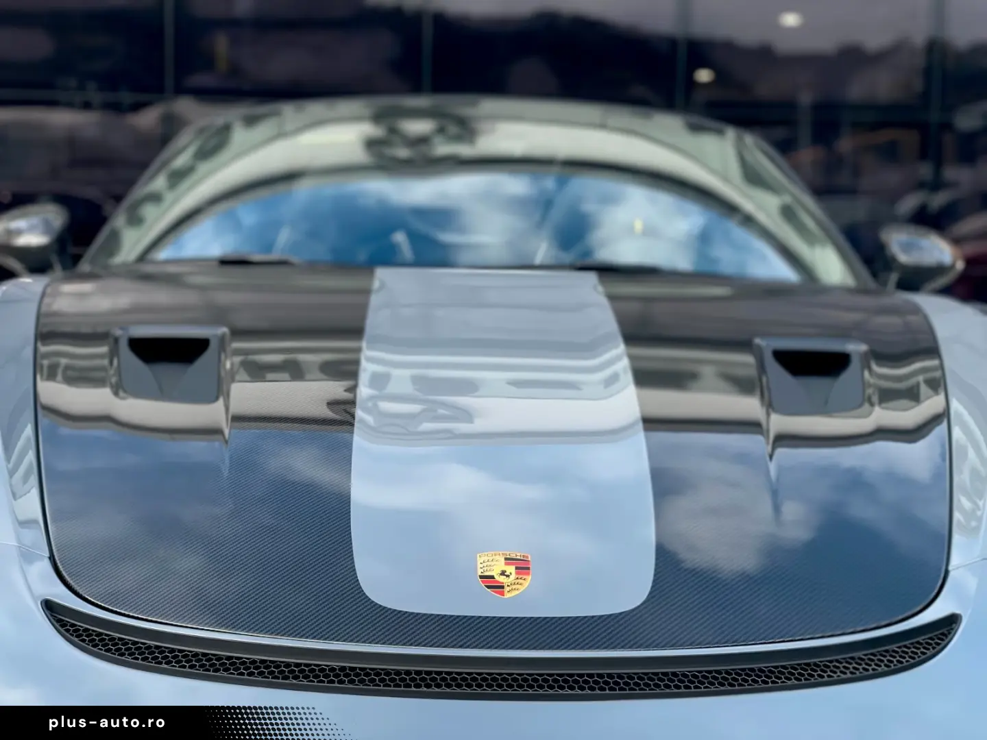 Porsche 718 Boxster Spyder RS GT4 Weissach Magnesiumfel