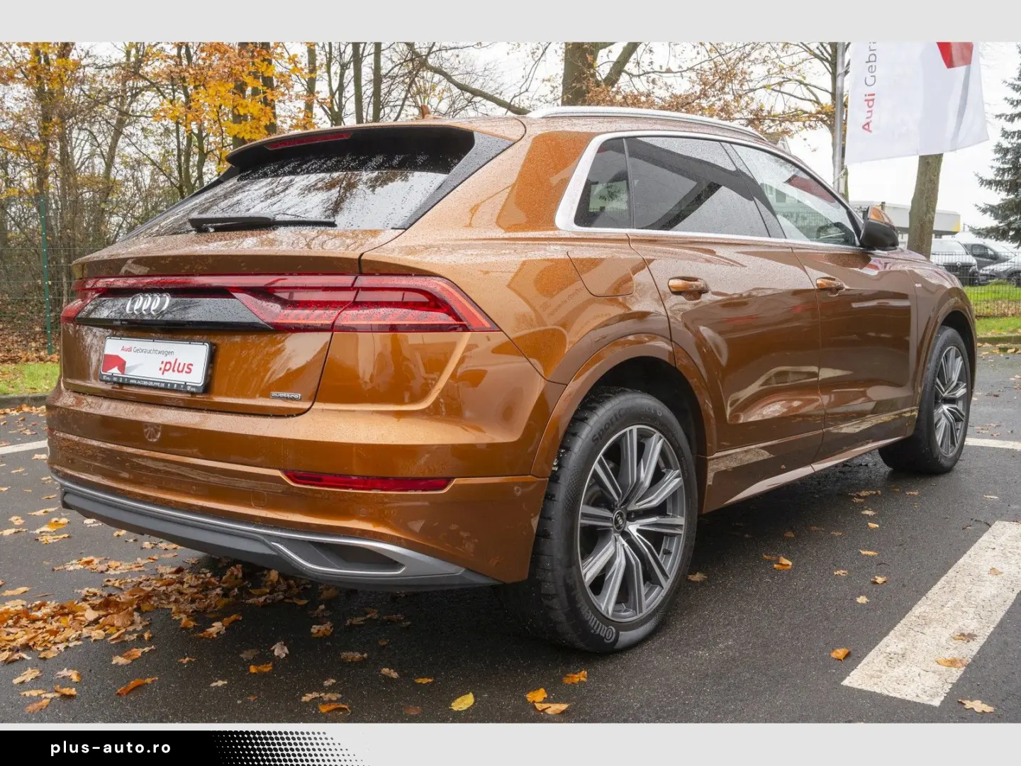 AUDI Q8 55 TFSI e quattro S line