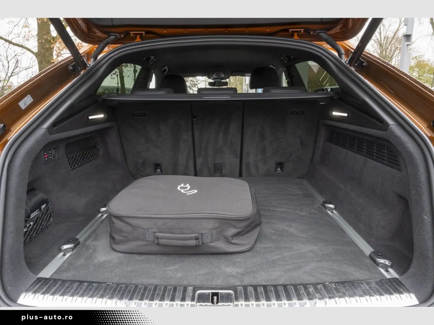 AUDI Q8 55 TFSI e quattro S line