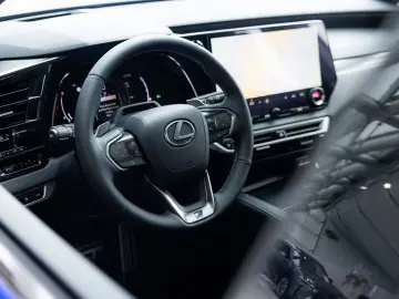 Lexus RX 500h   F Sport Line   Custom