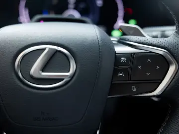 Lexus RX 500h   F Sport Line   Custom