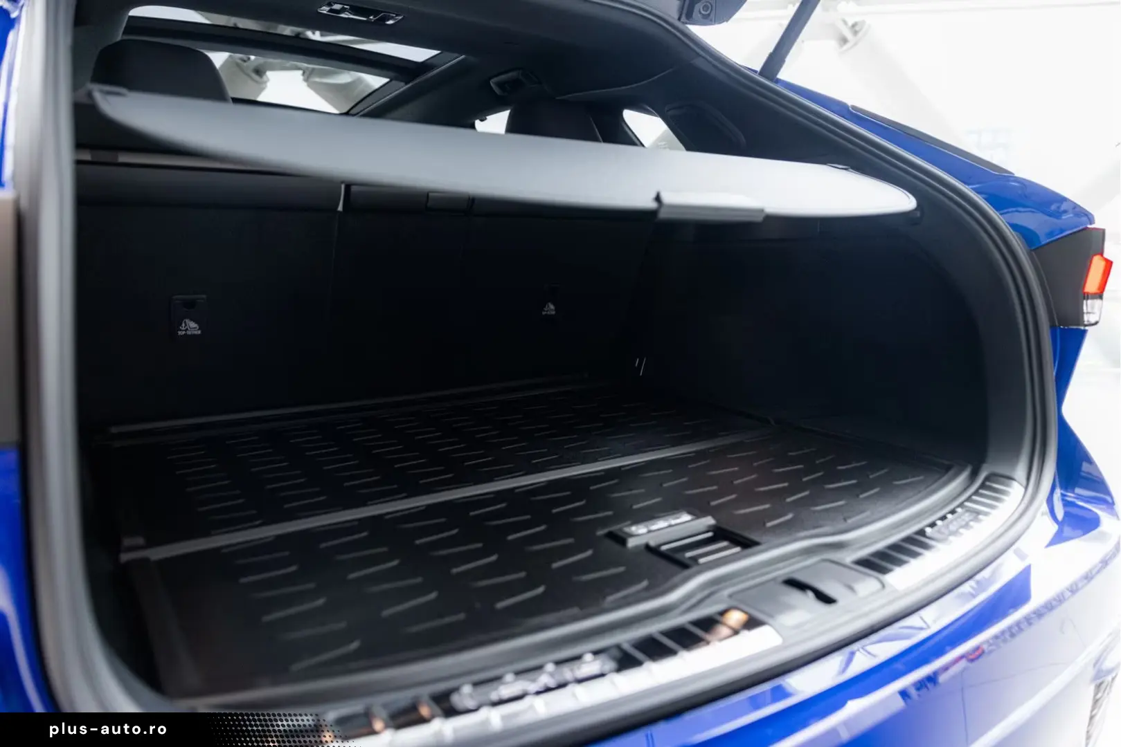 Lexus RX 500h   F Sport Line   Custom