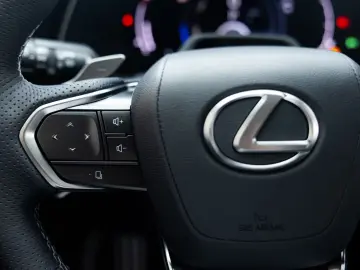 Lexus RX 500h   F Sport Line   Custom