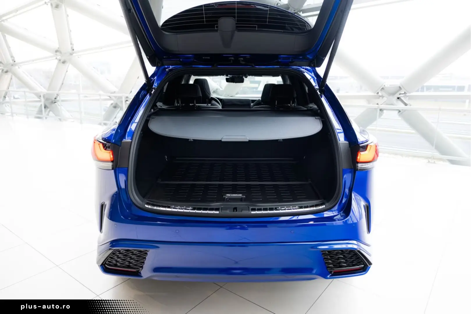 Lexus RX 500h   F Sport Line   Custom