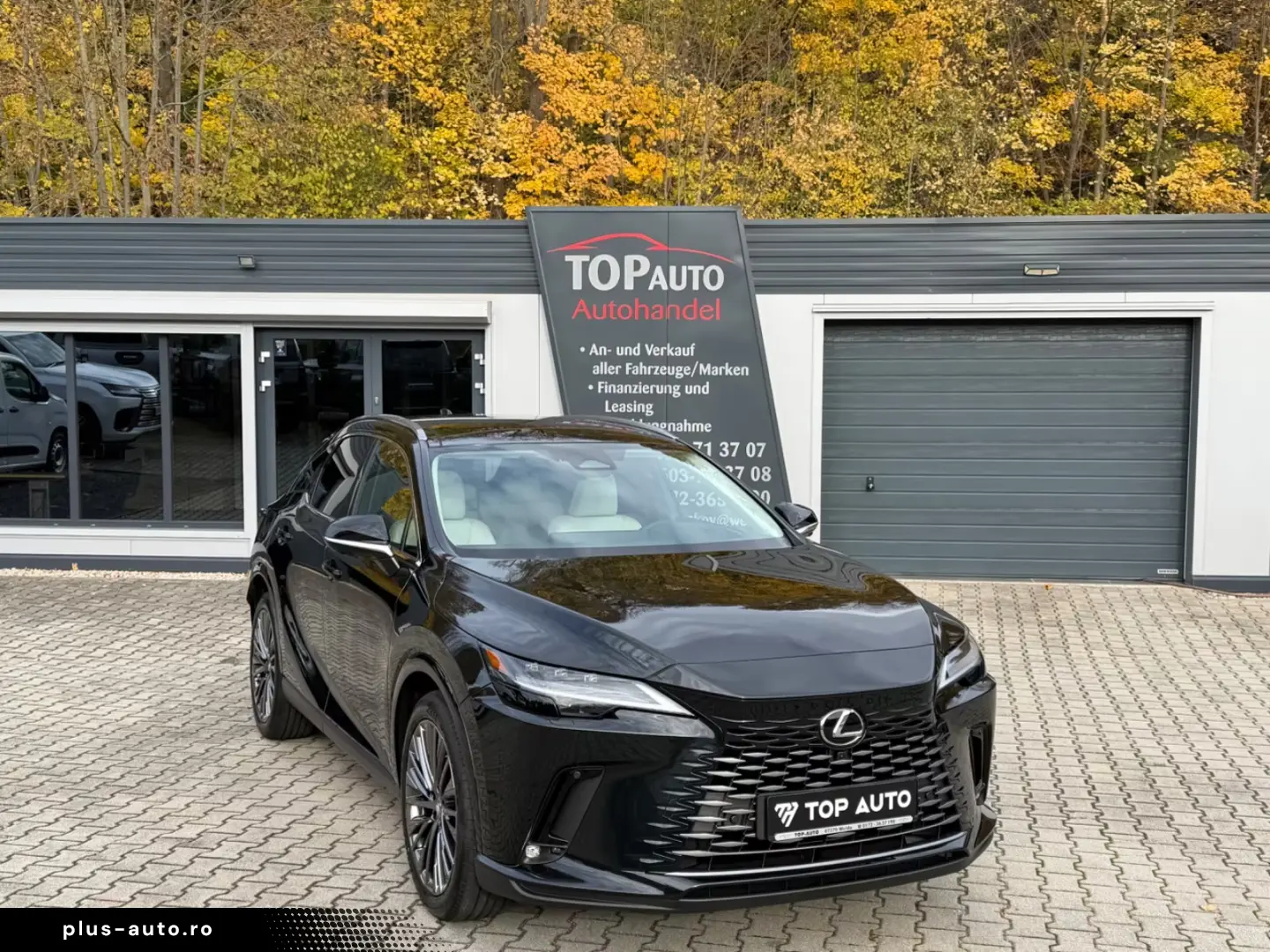 Lexus RX 450h E-Four Luxury.360 camera.AWD.P.Dach.ACC