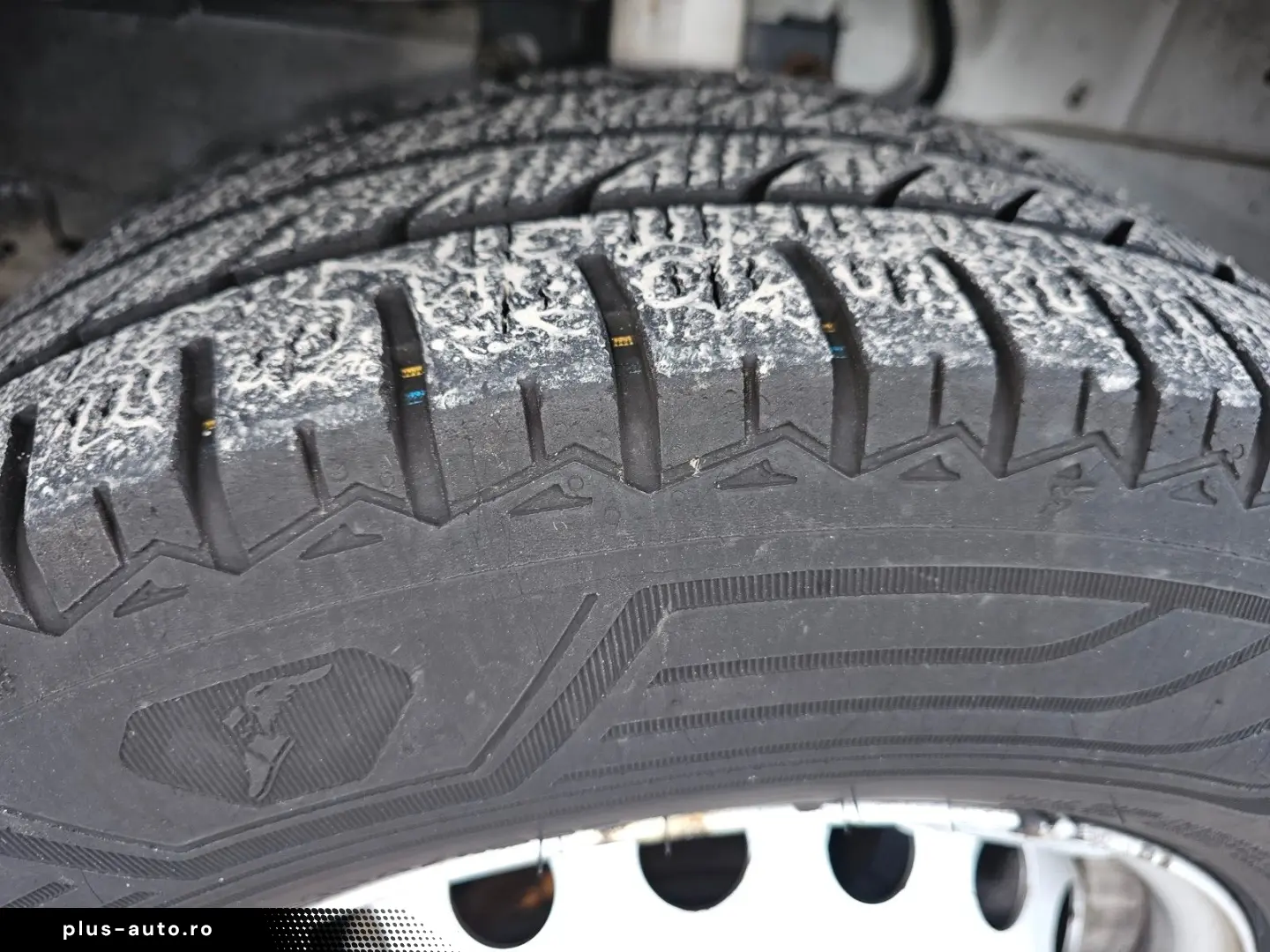 FORD Transit Custom Kasten 260 L1 Startup