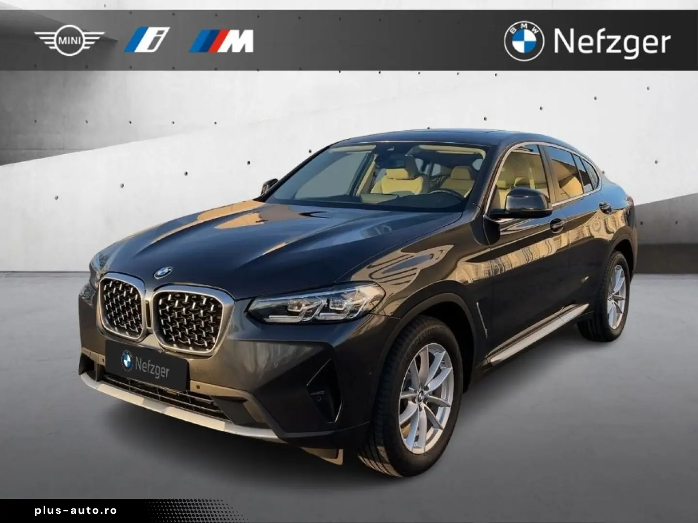 BMW X4 xDrive20i LED HiFi Panorama Memory-Sitze RFK