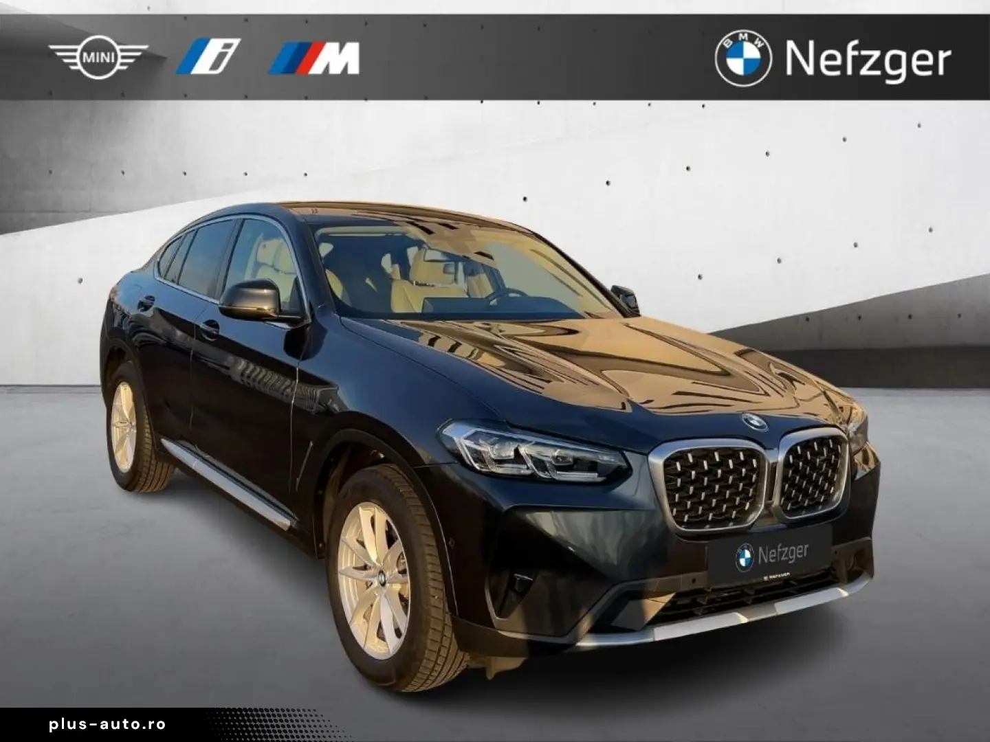 BMW X4 xDrive20i LED HiFi Panorama Memory-Sitze RFK