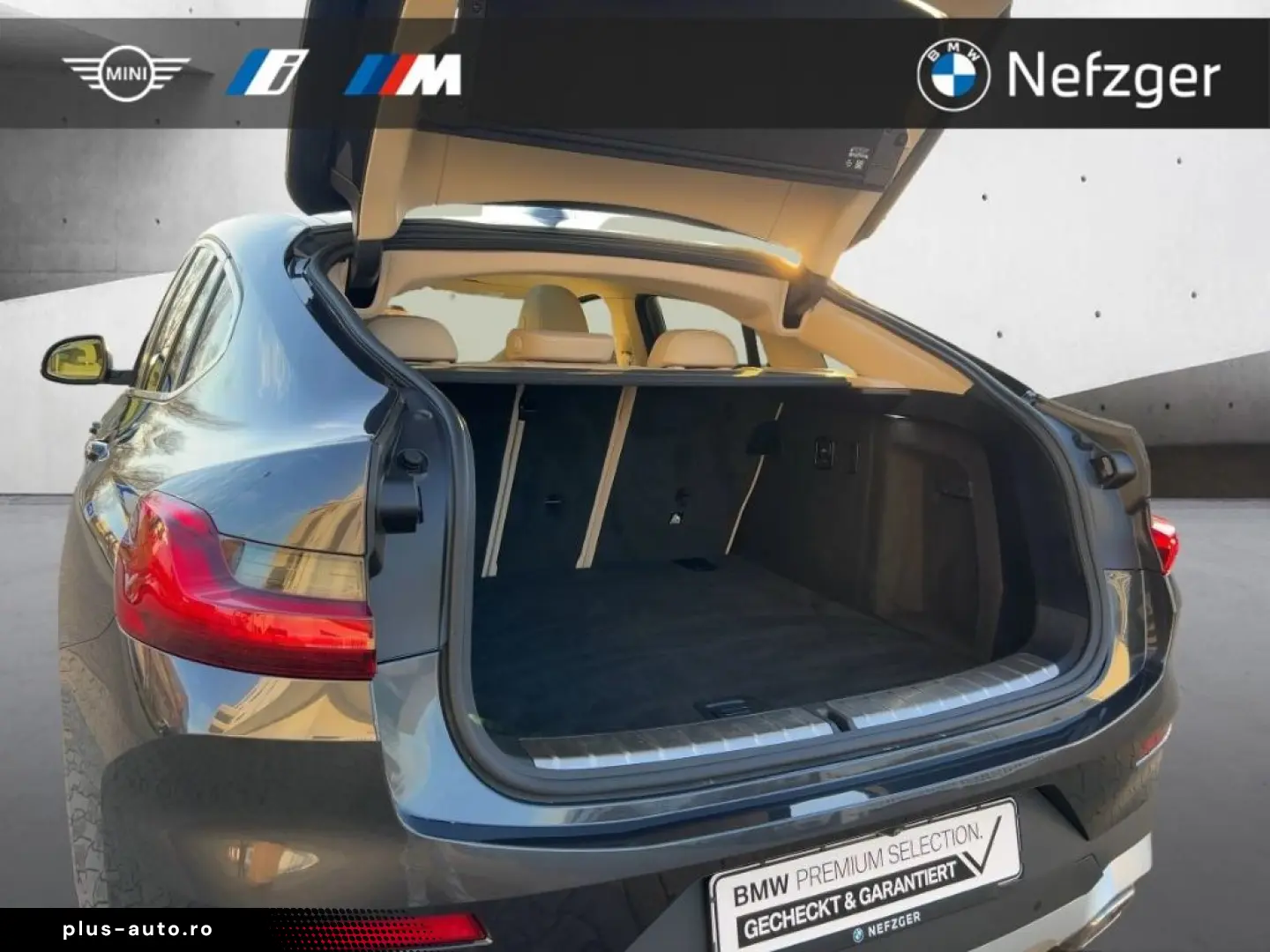 BMW X4 xDrive20i LED HiFi Panorama Memory-Sitze RFK