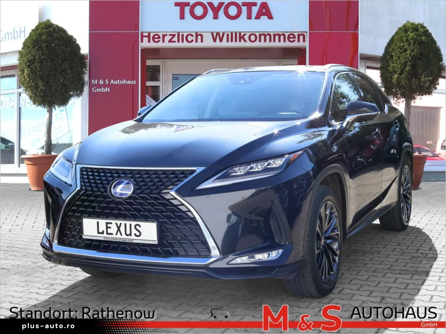 LEXUS RX 3.5 450h AWD Style Edition