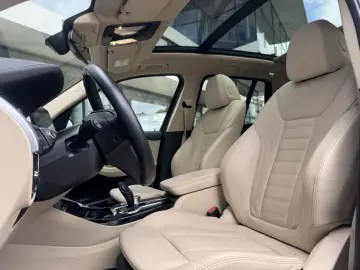 BMW X3 xDrive30e LED LC Prof. Pano HiFi DAB PDC 20