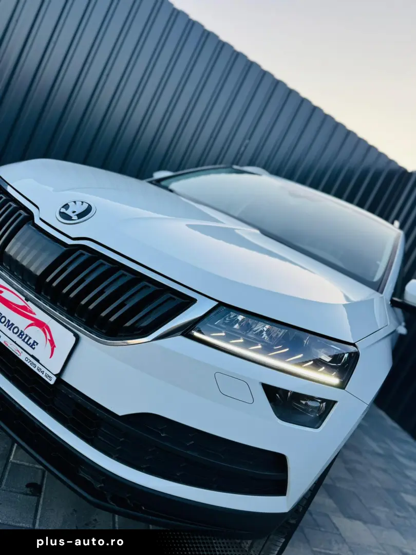 SKODA KAROQ   FAB 01.2018