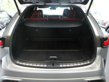 LEXUS RX 500 FH Sport