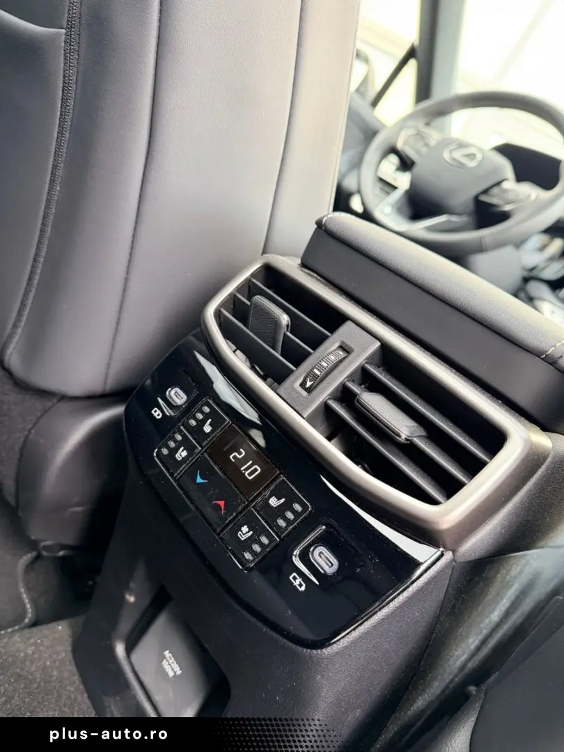 LEXUS RX500h  DIRECT4 F SPORT    Panoramadach