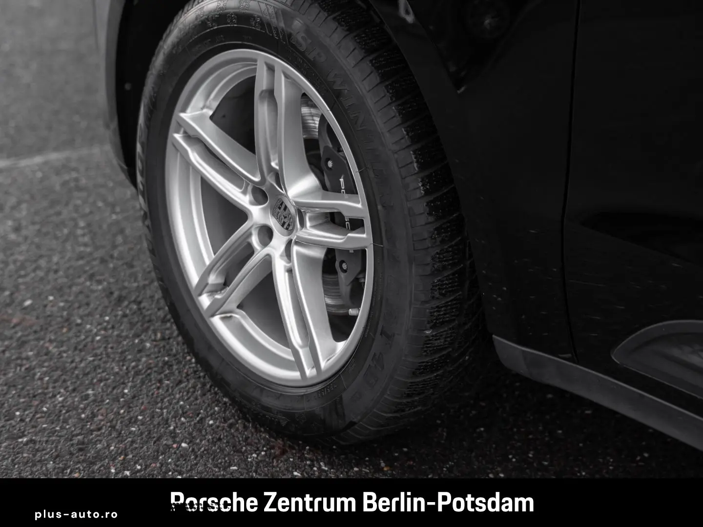 PORSCHE Macan Panoramadach Rückfahrkamera BOSE 1-Hand