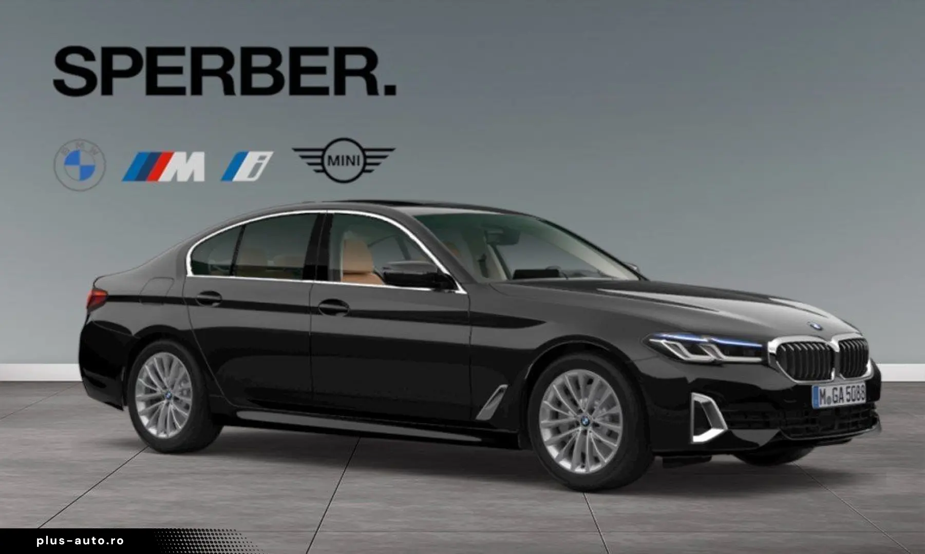 BMW 530i Luxury Line Glasdach Komfortsitze AHK