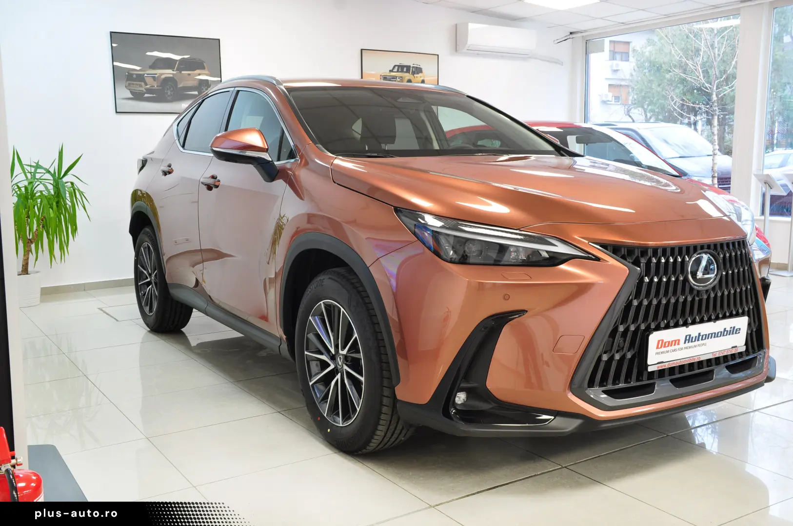 LEXUS NX 350H AWD EXECUTIVE HeadUp