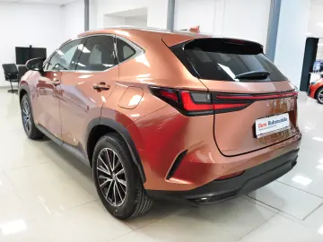 LEXUS NX 350H AWD EXECUTIVE HeadUp