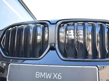 BMW X6 xDrive40d Sportpaket Pro Indiv. Luftf. Massag