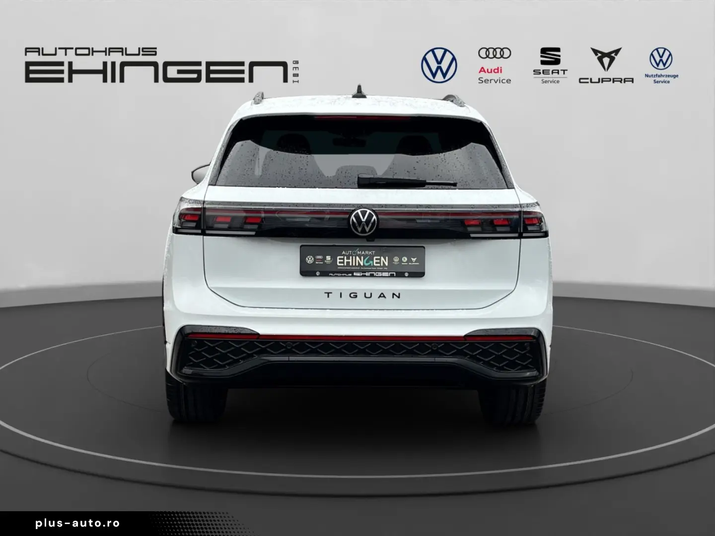 VW Tiguan R Line 2.0 TDI 4Motion DSG AHK ACC LED Na