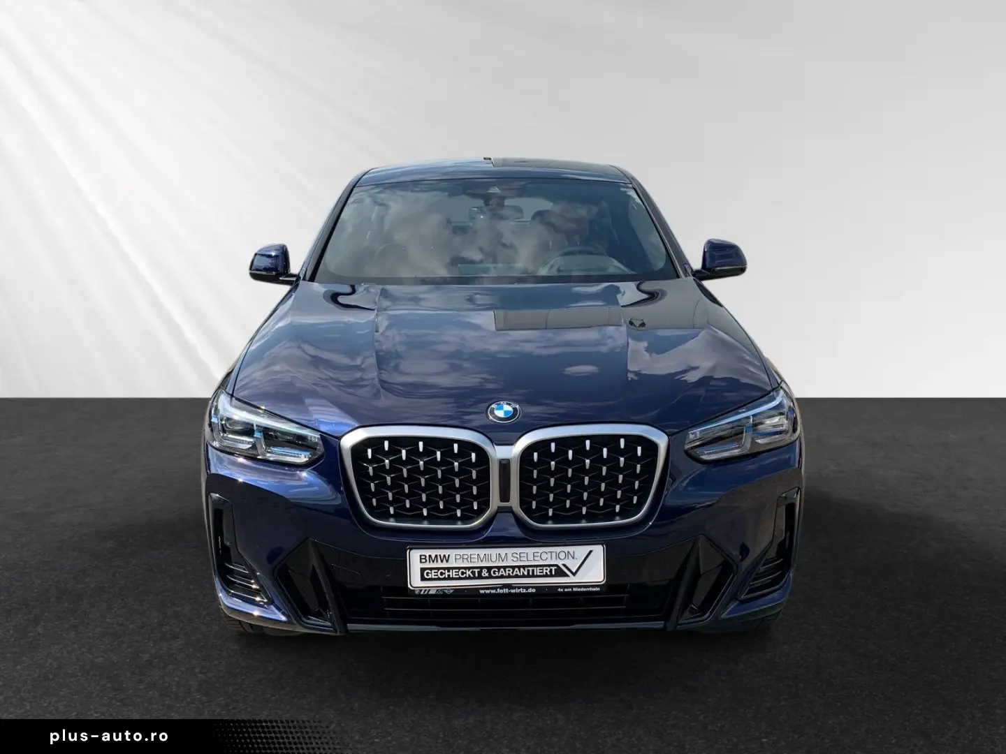BMW X4 xDrive20d M Sport AHK Head-Up HiFi DrivingAss