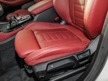 BMW X4 xDrive20i M Sport RFK NAVI LED DAB