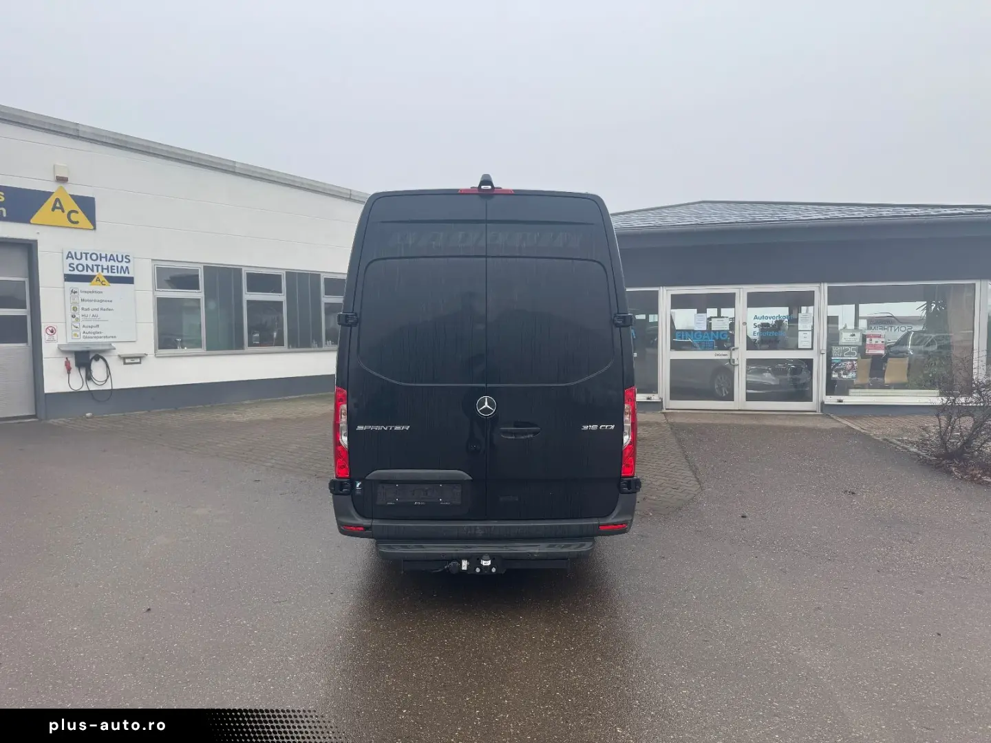 MERCEDES-BENZ Sprinter III Kasten RWD AWD