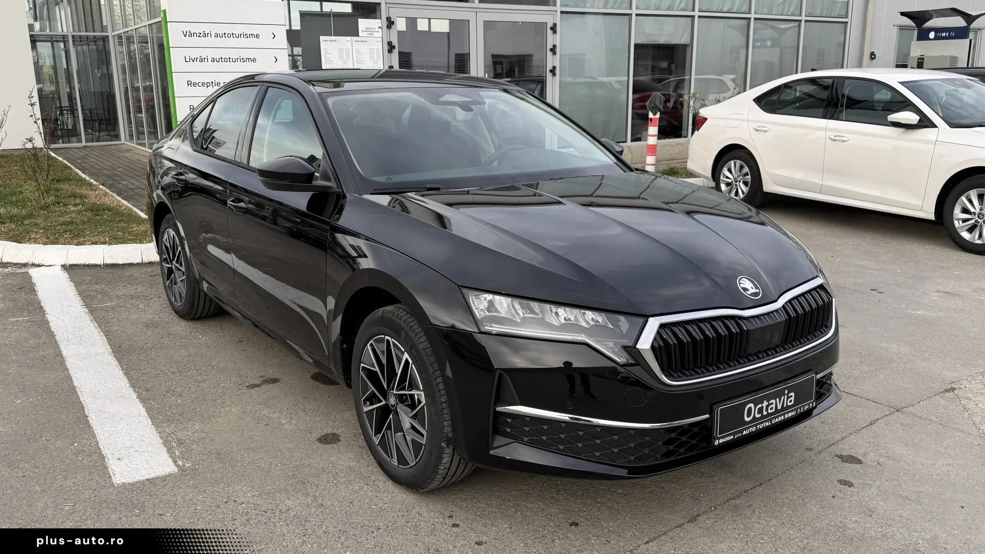 Octavia Selection 2.0 TDI DSG