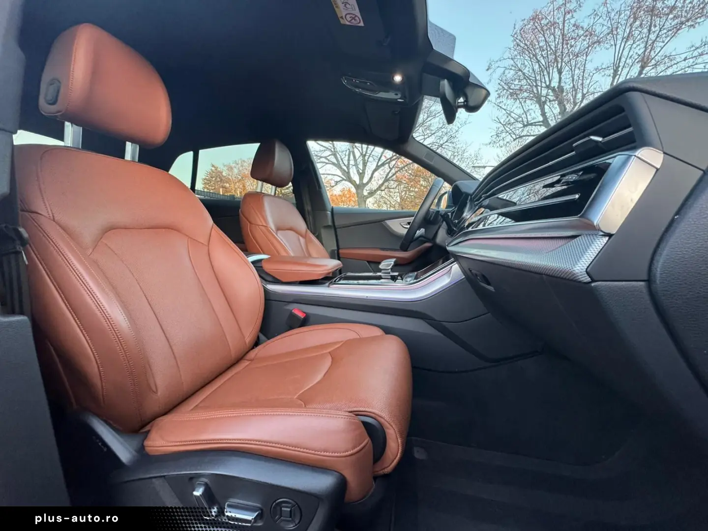 AUDI Q8 50 TDI S-LINE QUATT 21  B&O KAM NAVI