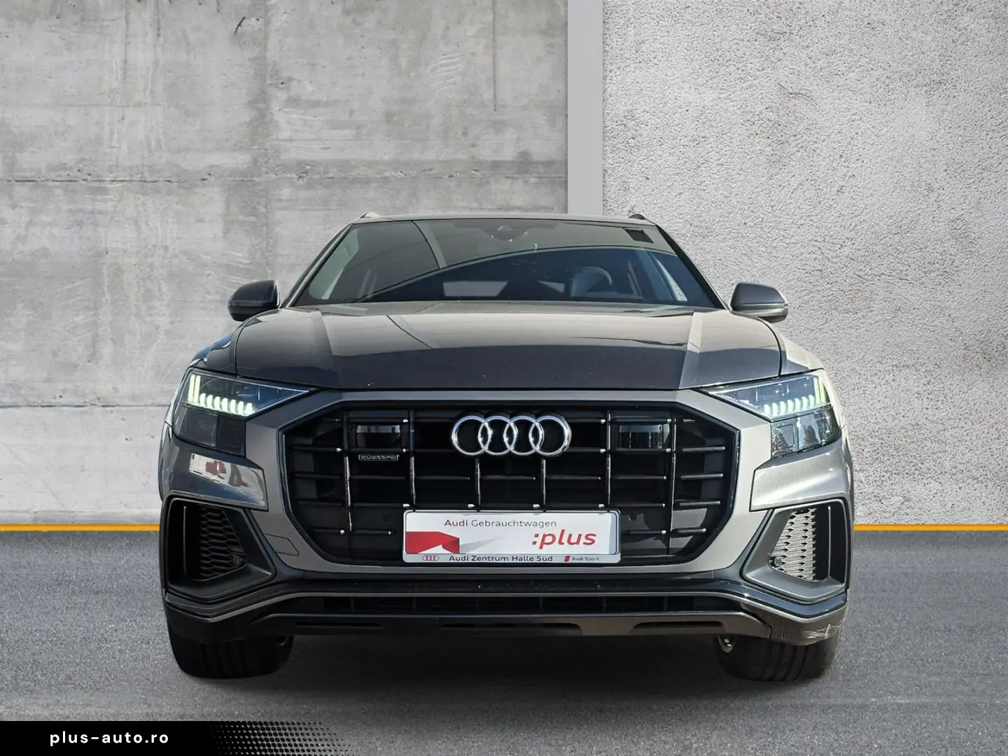 AUDI Q8 45 TDI qu S line MATRIX AIR STANDHZG AHK 21