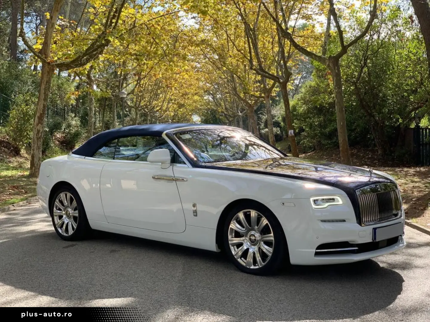 ROLLS ROYCE Dawn   Ghost Family