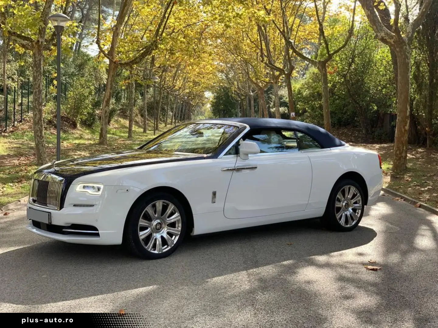 ROLLS ROYCE Dawn   Ghost Family