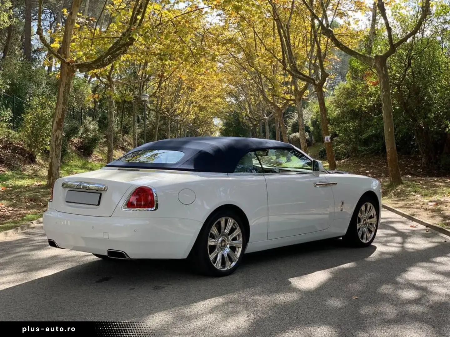 ROLLS ROYCE Dawn   Ghost Family