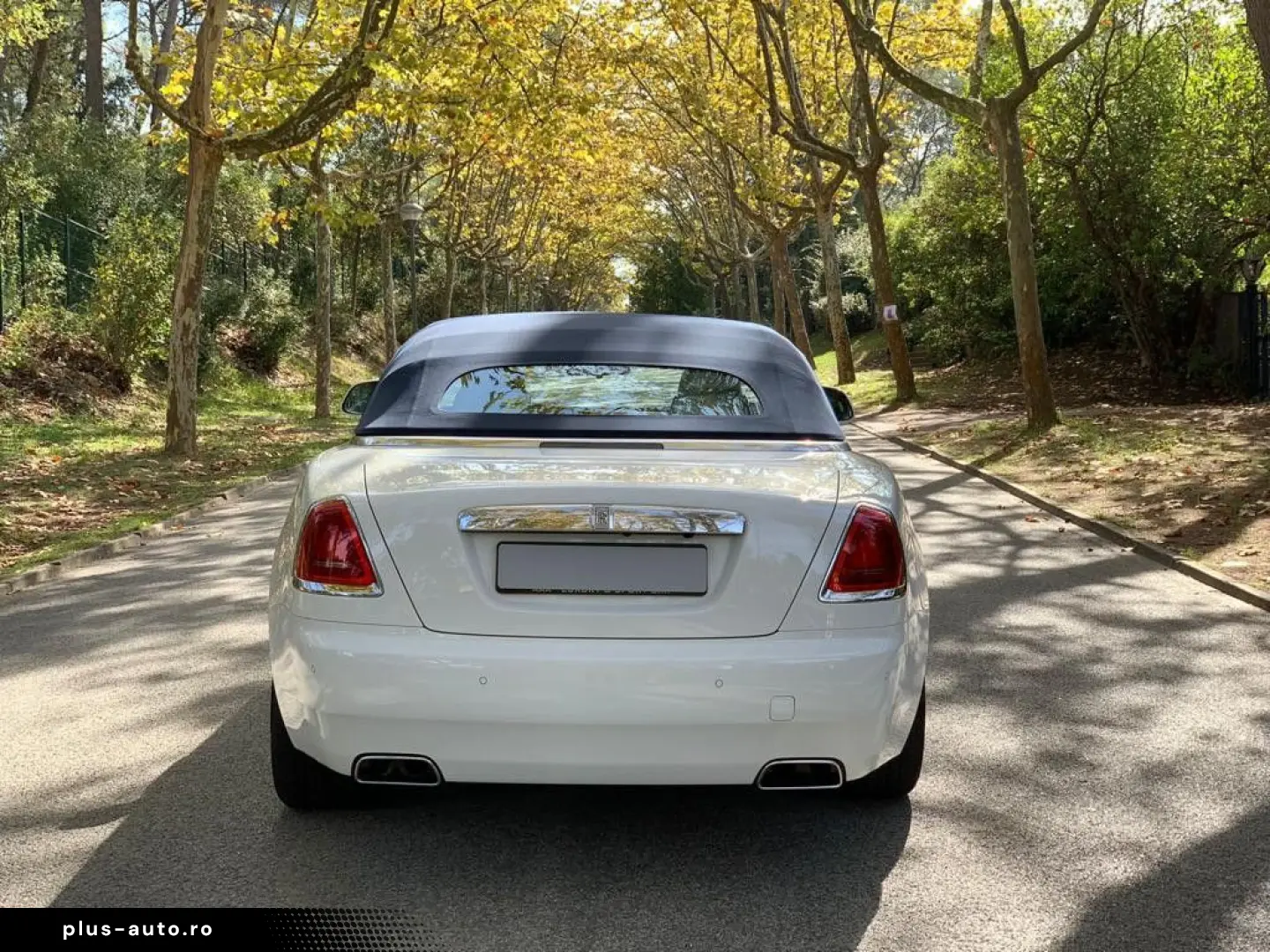 ROLLS ROYCE Dawn   Ghost Family