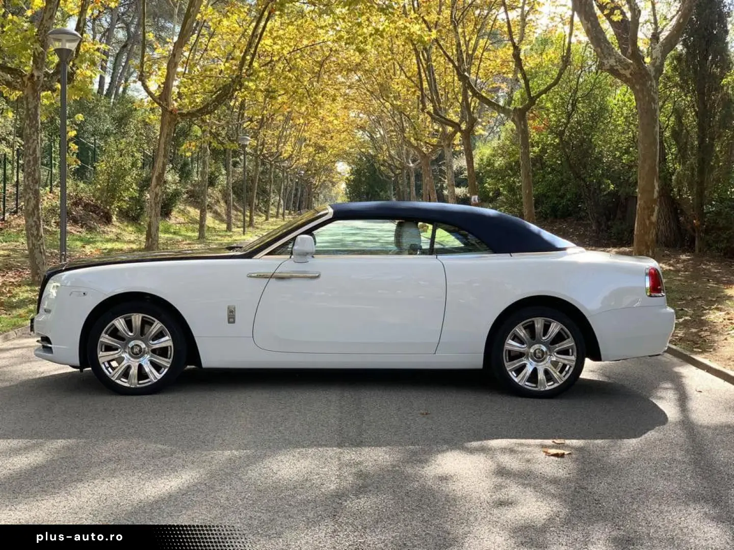 ROLLS ROYCE Dawn   Ghost Family