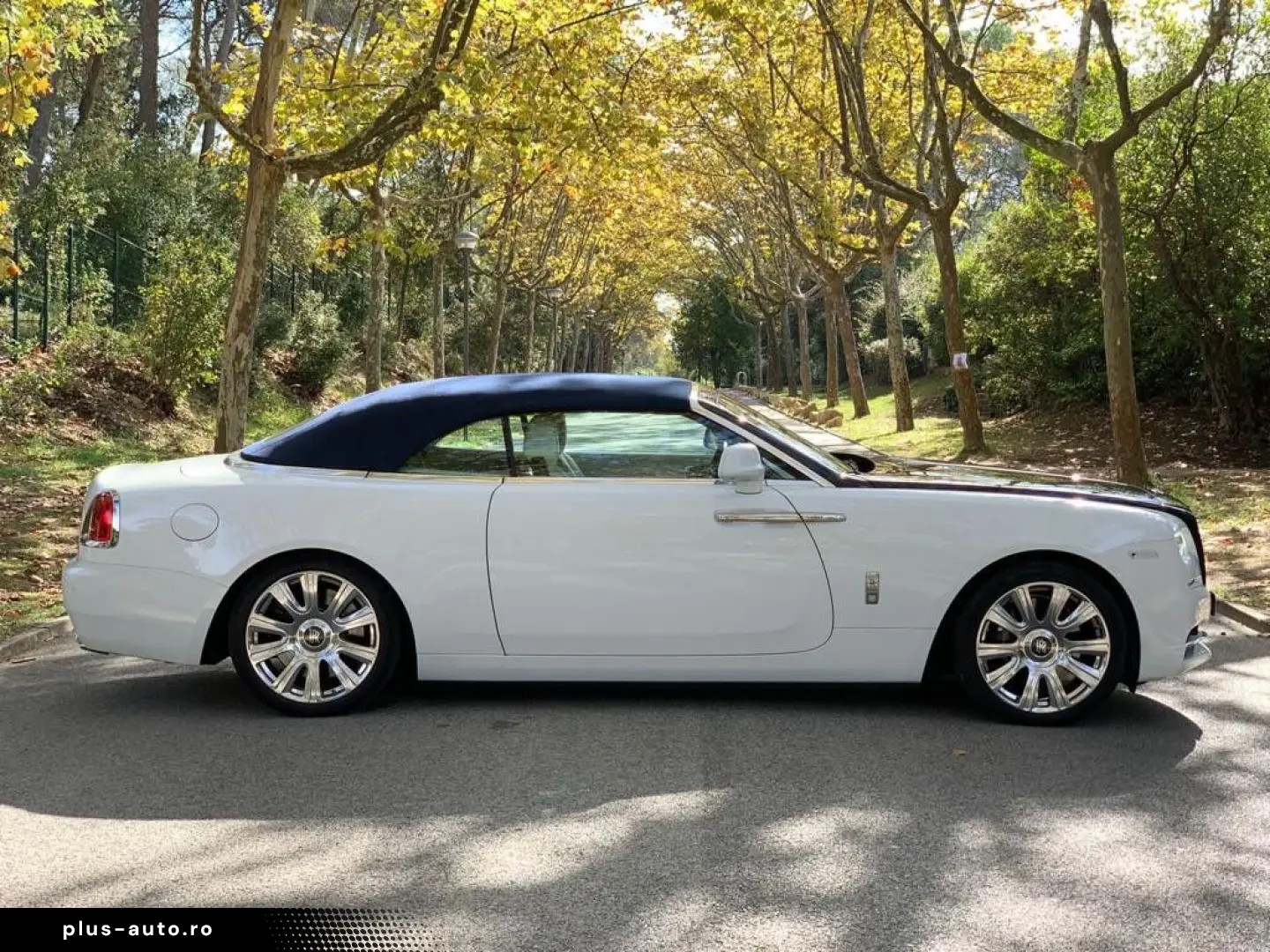 ROLLS ROYCE Dawn   Ghost Family