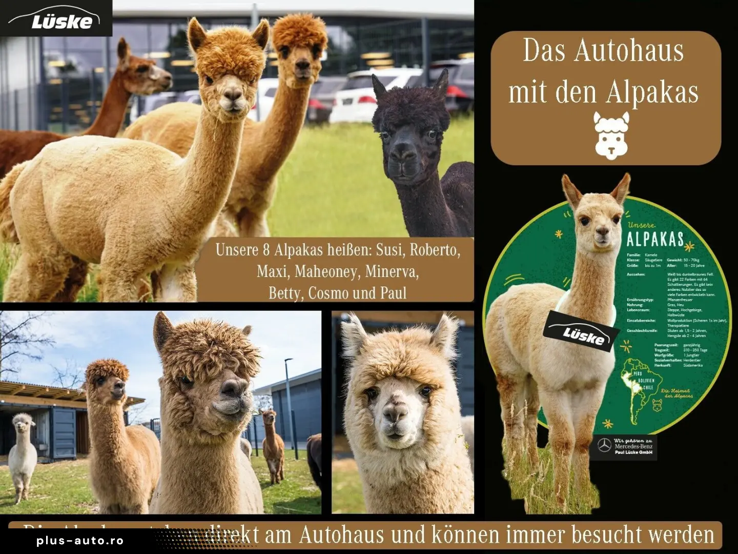 MERCEDES-BENZ S 350 d 4M AMG Räder verdesilber Pano &hellip;