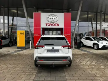 TOYOTA RAV4 Hybrid 4x4 Team Deutschland  TECHNIK-P  AHK