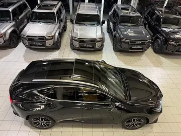 Lexus NX 350h - LUXURY