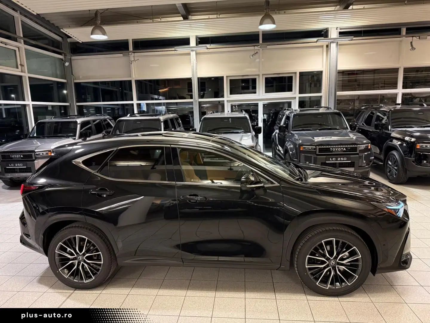 Lexus NX 350h - LUXURY