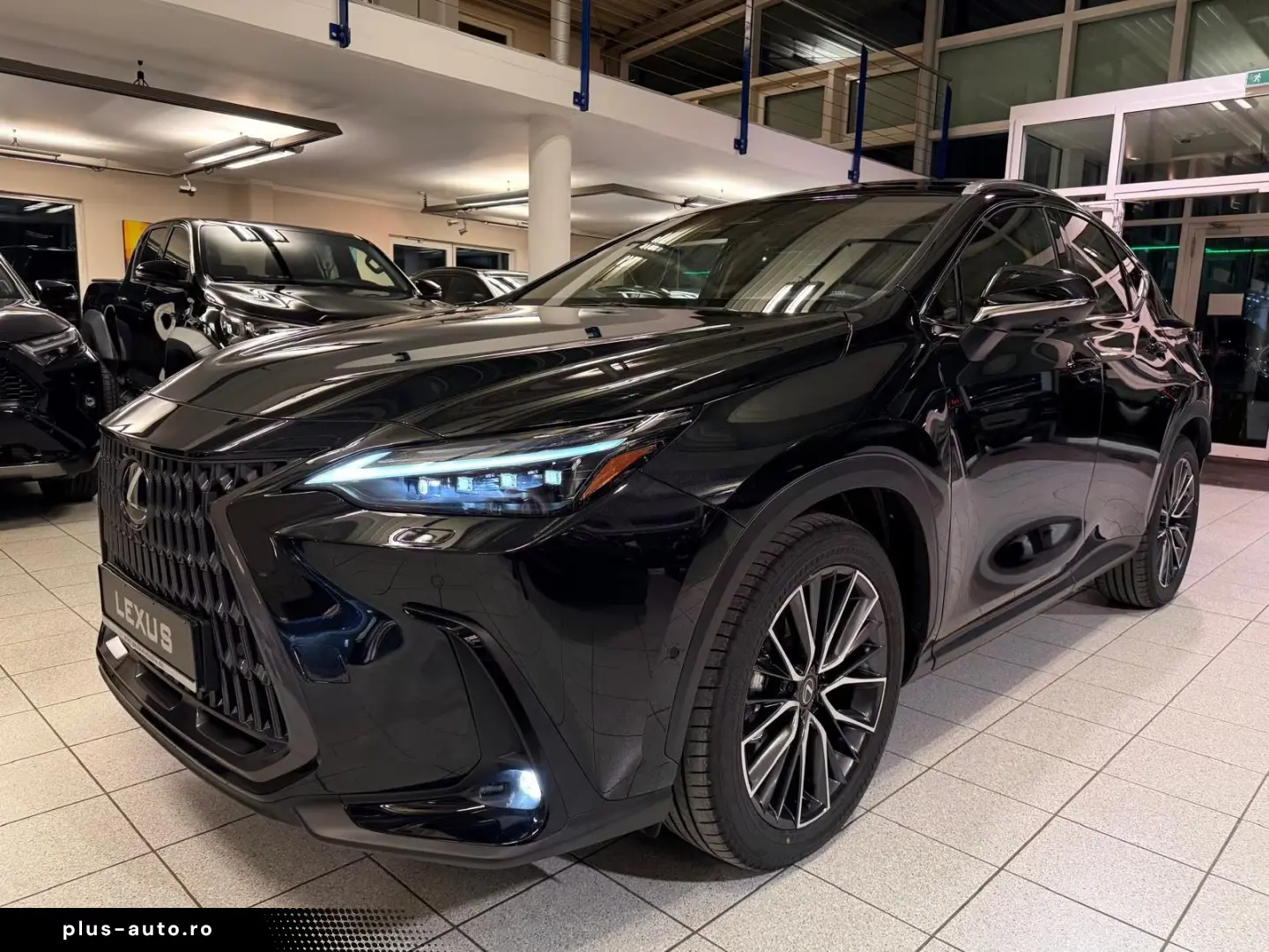Lexus NX 350h - LUXURY