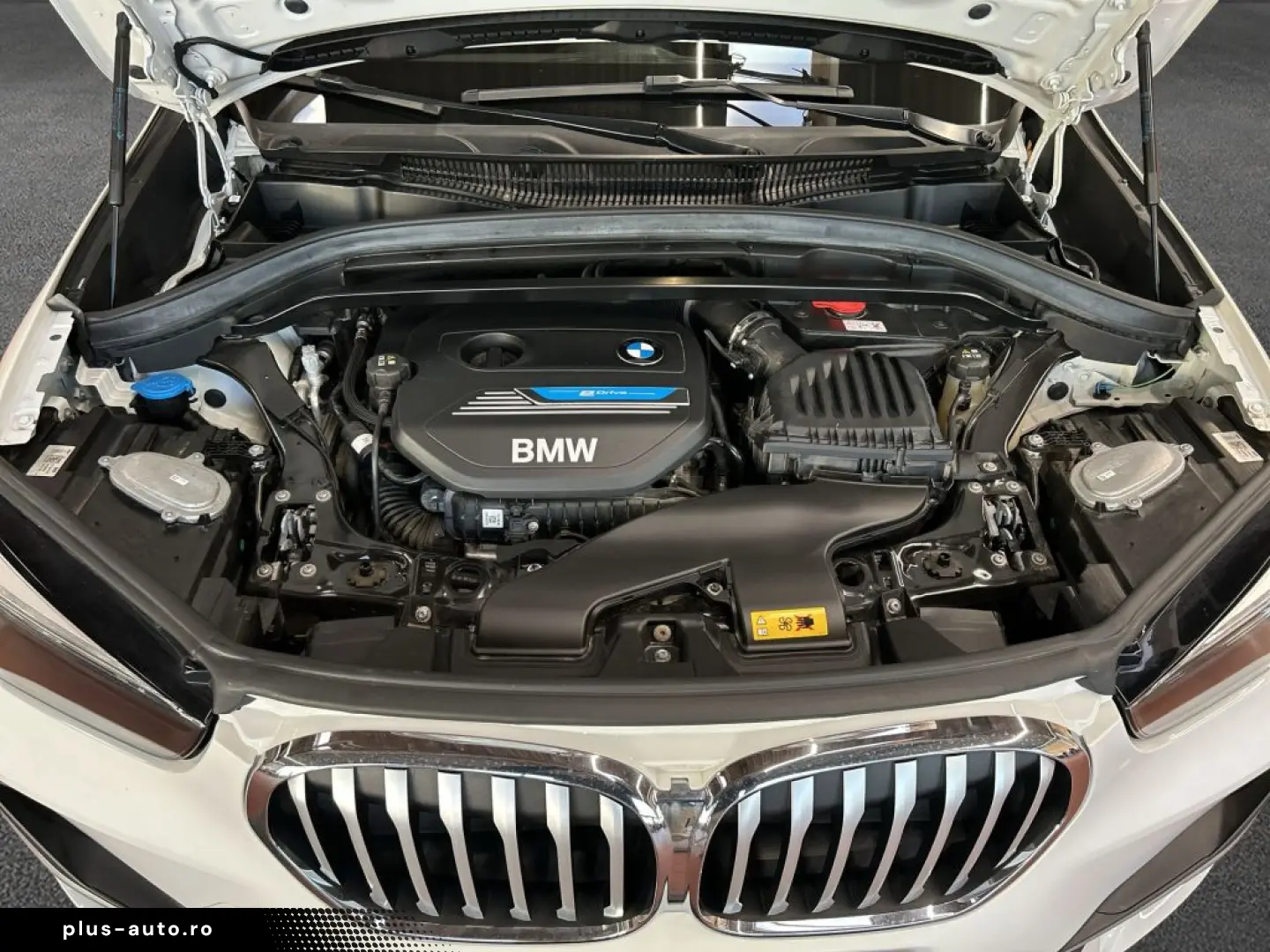 BMW X1 xDrive25e xLine  SHZ  PDC  LED