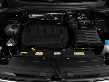 VW Tiguan 2.0 TDI 4M DSG Goal AHK 360  Pano Navi