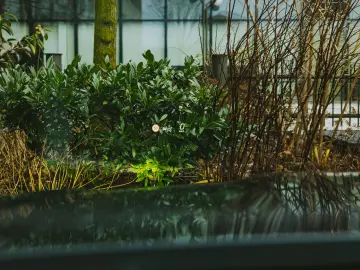 Mercedes Benz GLC 300e 4 Matic AMG